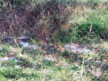 Basura de todo tipo en parque del ex Hospital Ferroviario