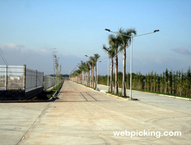 Calle externa de acceso, mejorada y forestada por Norlog