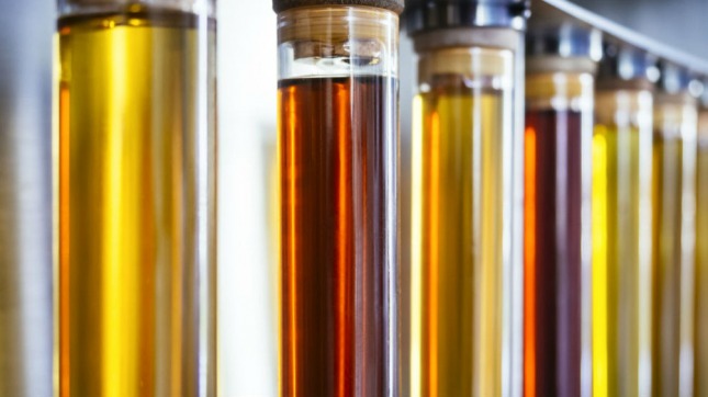 biodiesel-telam-biocombustibles
