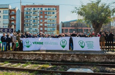 APDFA-lista-verde-y-blanca